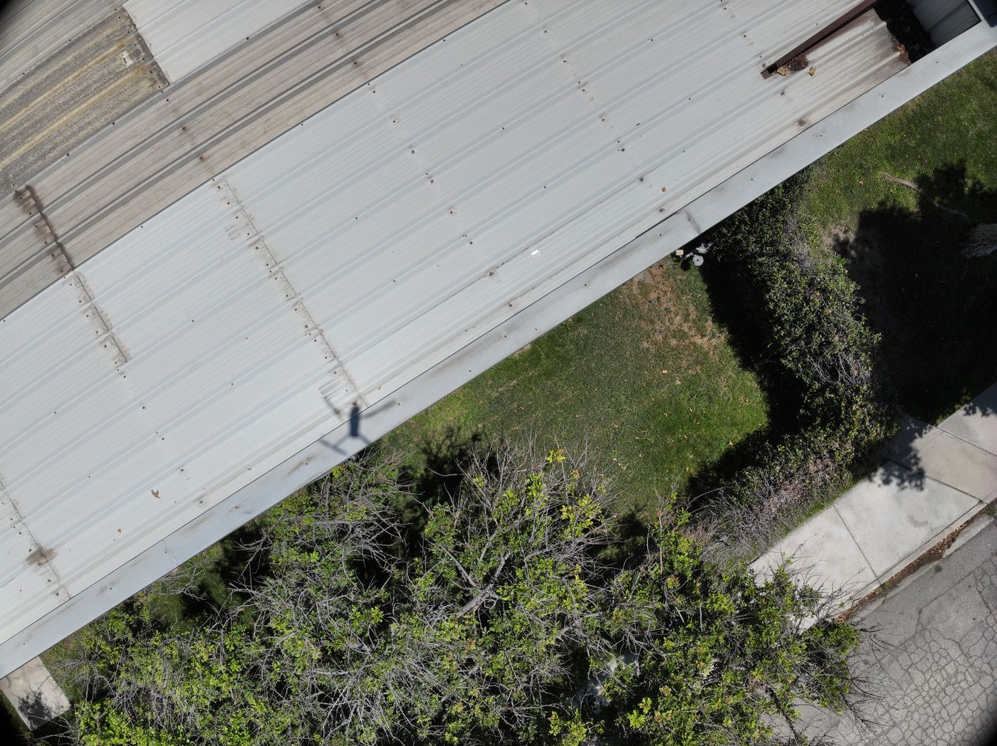 Aerialist — June 2026